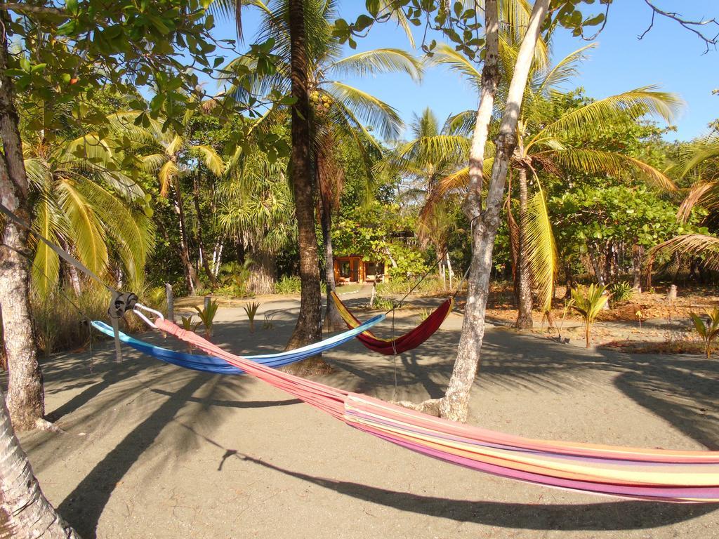 Punta Preciosa Bed and Breakfast Puerto Jiménez Exteriör bild